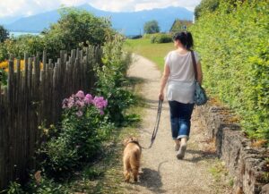 散歩中の犬と飼い主